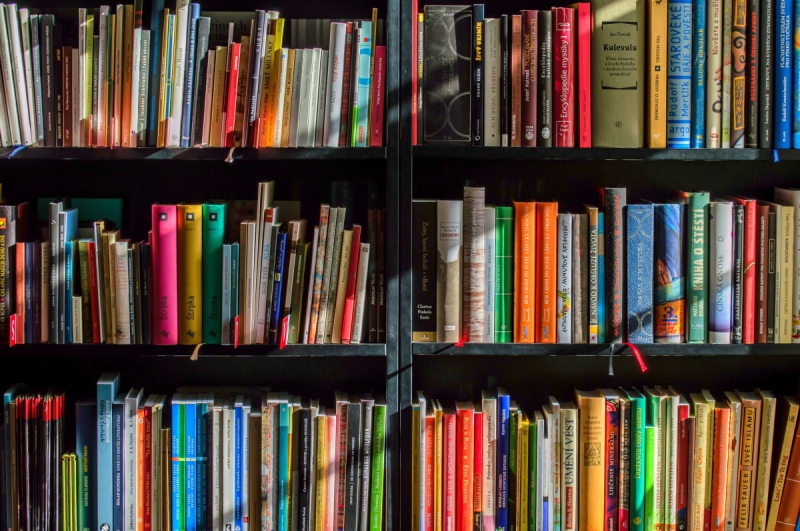 magasin-PIERLAS-min_books_bookstore_book_reading_shop_writer_sale_books_read-822866